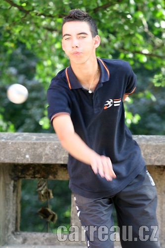 Photograph